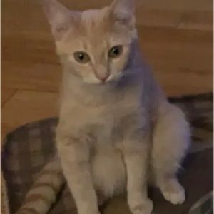 Meet your Posher, Austin